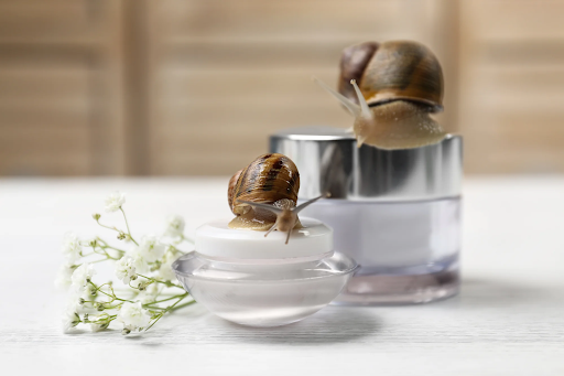 11 Best Snail Creams